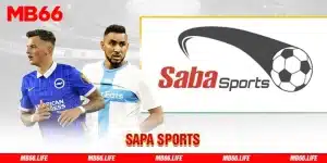 Sapa sports